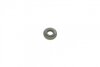 Уплотнительное кольцо клапанной крышки. TRUCKTEC 0810034 (фото 2)