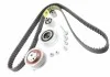 Комплект ГРМ VW Amarok (13-), Caddy (16-), Golf (09-14), Jetta (15-18), Polo (15-), Tiguan (8-11) 1.5, 1.6, 2.0 D VAG 03L198119F (фото 2)