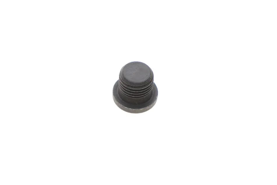 Пробка резьбовая VW/Audi/Skoda/Seat VAG N0160276 (фото 1)