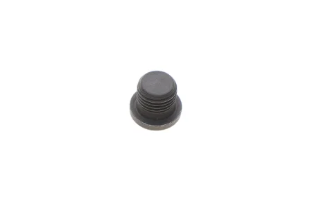 Пробка різьбова VW/Audi/Skoda/Seat VAG N0160276