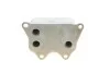 Радиатор масляный SEAT; VW; SKODA; AUDI Van Wezel 03013704 (фото 3)