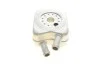Радіатор масляний VARIOUS AUDI/VW/SEAT/FORD Van Wezel 58003106 (фото 2)
