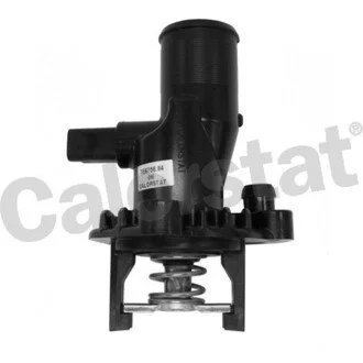 Термостат CITROEN/PEUGEOT C4/C5/307/407 2.0HDI03-10 TE6756.84J Vernet TE675684J