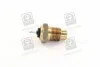 Датчик температуры Fiat Ducato/Tipo/Uno/ Lada110/111/112 0.8-2.5 80-10 Vernet WS2509 (фото 1)