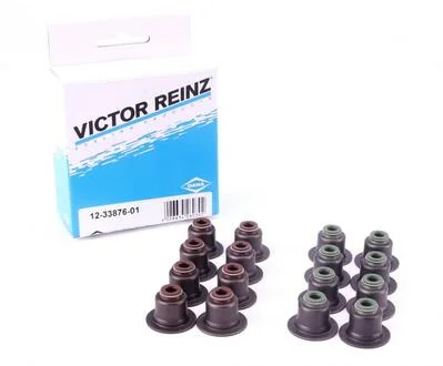 Сальники клапанів (комплект) VICTOR REINZ 12-33876-01