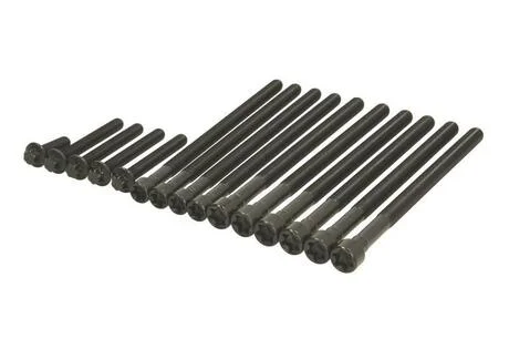 Болти головки блоку VICTOR REINZ 14-10010-01