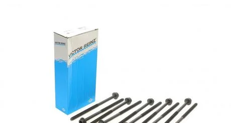 Комплект болтів головки цилідра VICTOR REINZ 143212301