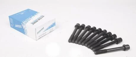 Болти головки REINZ 14-32160-01 VICTOR REINZ 143216001