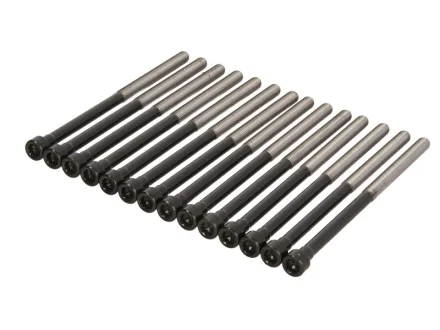 Комплект болтів ГБЦ VOLVO S60 II, S80 II, V60 I, V70 III, XC60 I, XC70 II, XC90 I LAND ROVER FREELANDER 2 3.0/3.2/3.2ALK 03.06-12.18 VICTOR REINZ 143230601