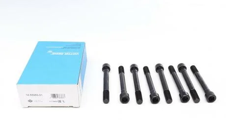 Комплект болтів головки цилідра VICTOR REINZ 14-55063-01