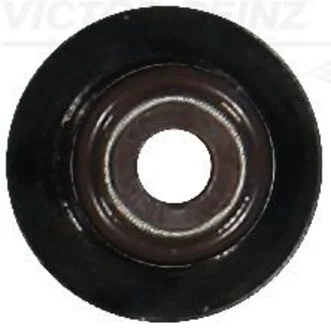 Запчастина VICTOR REINZ 70-17500-00