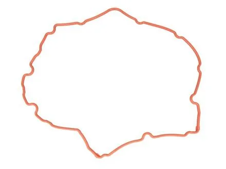 Прокладка VICTOR REINZ 713817200