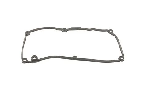 Прокладка клапанной крышки 1,2D Skoda Fabia (10-14)/Seat Ibiza (10-) Vika 11031789301
