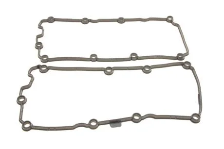 Комплект прокладок клапанної кришки (2 шт.)) VW Touareg (04-10,10-)/Audi A4 (04-12 Vika 11031790601