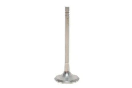 Клапан выпускной Skoda Octavia (00-10,04-13)/VW Golf (00-05,08-12)/Audi A4 (01-0 Vika 11090724501