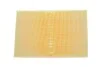 Фільтр повітряний SEAT /AP060 (WIX-Filtron UA) WIX FILTERS WA6225 (фото 3)