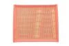 Фільтр повітряний OPEL OMEGA /AP073 (WIX-Filtron UA) WIX FILTERS WA6239 (фото 1)