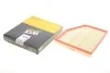 Фільтр повітряний BMW (WIX-Filtron) WIX FILTERS WA9607 (фото 2)