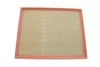 Фільтр повітряний BMW X5, X6 /AP 029/1 (WIX-Filtron) WIX FILTERS WA9656 (фото 1)