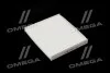 Фильтр салона HYUNDAI SOLARIS II 17-, KIA RIO IV 17- (выр-во WIX-FILTERS) WIX FILTERS WP2176 (фото 1)