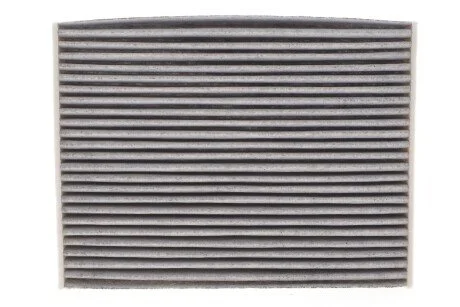 Фільтр салону RENAULT SCENIC III 09-, TRAFIC III 14- вугільний (WIX-Filtron) WIX FILTERS WP9383